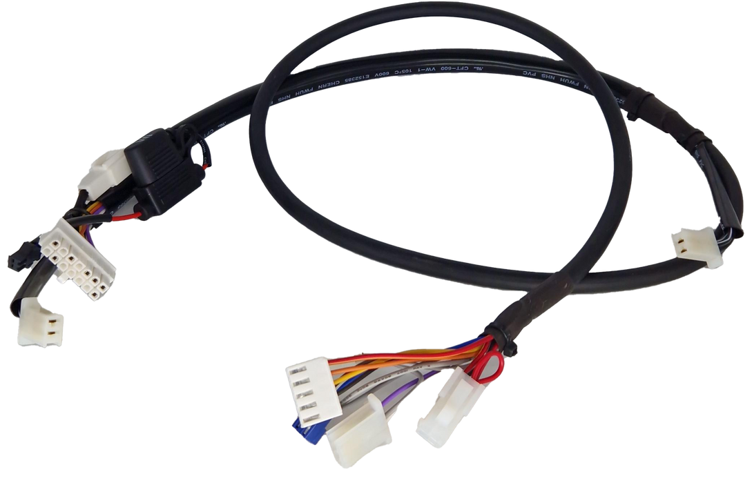 Main Wiring Harness