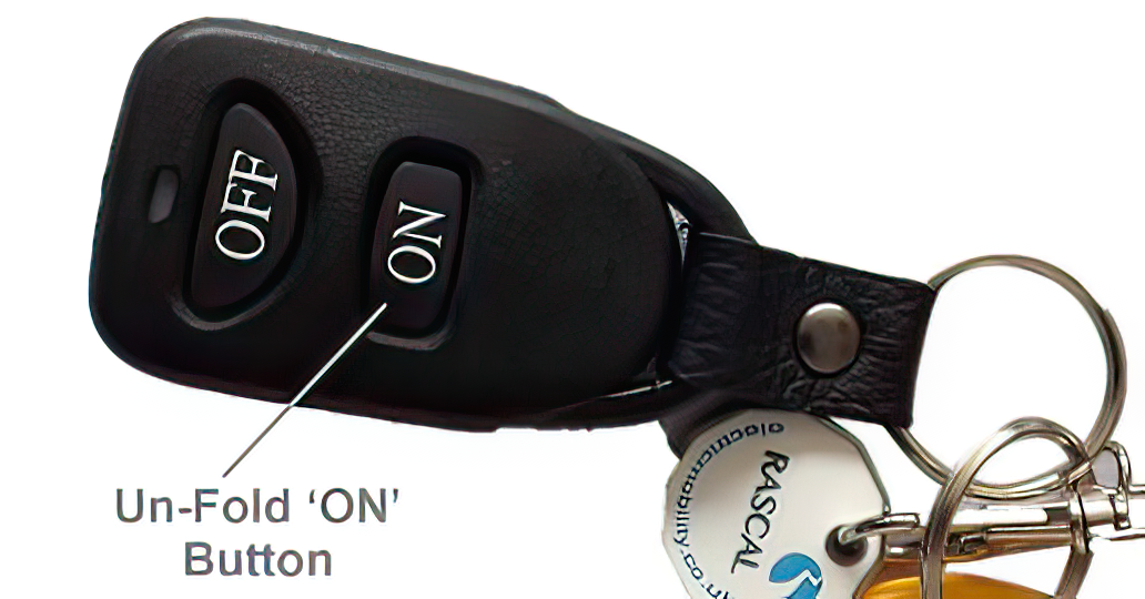 Rascal Smilie Auto Remote Fob